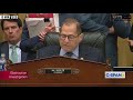 Best Moments From The Lewandowski Hearing