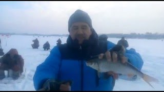 цимлянское водохранилище серпухов рыбалка цимлянское водохранилище серпухов рыбалка