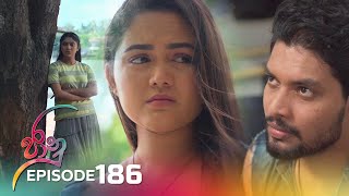 Jaanu | Episode 186 - (2023-11-09)