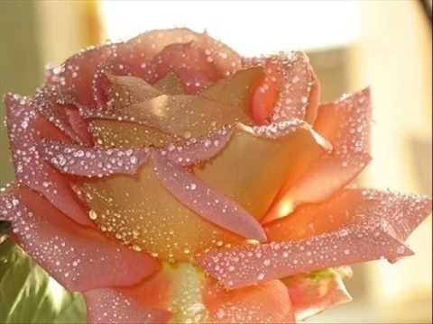 Man paraune hajar by Ram Krishna Dhakal