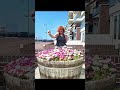 13 juni 2025 eerst naar Heiloo daarna Roots Market op de Boulevard in Egmond aan Zee.