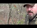 Trapping Tv Episode 2 Coyote Dirt Hole Trench Set Trapping images Trapping Tv Episode 2 Coyote Dirt Hole Trench Set Trapping