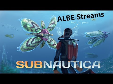 Nonsense Video