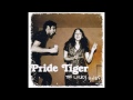 Pride Tiger - What It Is
