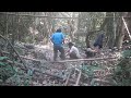 HAV 動画22c