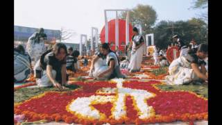 Update History Of Sohid Minar