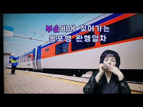 대전부르스(안정애)소향하모니카연주