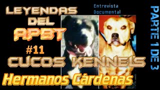 Leyendas Del Apbt Cucos Kennels Hermanos Cardenas Parte 1 Doental Historia Apbt