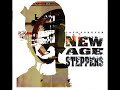 New Age Steppers - My Nerves