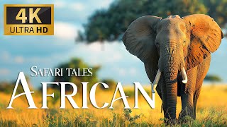 Safari Tales African 4K 🐾 Discovery Relaxation Beautiful Wildlife Movie With Relaxing Piano Music