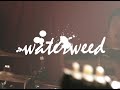 waterweed / easy clicks