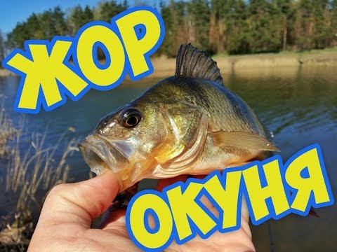 как ловить на спиннинг щуку весной как ловить на спиннинг щуку весной