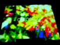 Opening(吳浩康) - 黐膠花園 The Crazy Garden Show