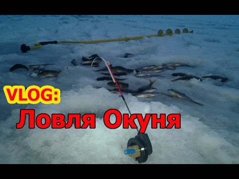 ловля на безмотылку техника ловли ловля на безмотылку техника ловли