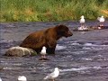 What A Wonderful World.wmv by barry lewis