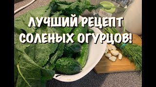 ЛУЧШИЕ СОЛЕНЫЕ ОГУРЦЫ, спасибо, ЮЛИЯ МИНЯЕВА! Засолка огурцов. Рецепт соленых огурцов ЛУЧШИЕ СОЛЕНЫЕ ОГУРЦЫ, спасибо, ЮЛИЯ МИНЯЕВА! Засолка огурцов. Рецепт соленых огурцов