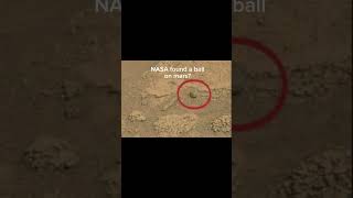 Cz-J733noWo Video Image
