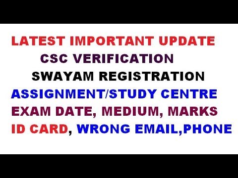 Write my essay for me review biz