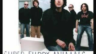 Watch Animals The Man video