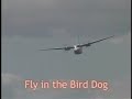 Birddog