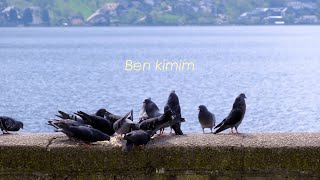 Stabil - Ben Kimim (Lyrics)
