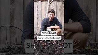 Dont Remove That Leaf Mulch... Unless