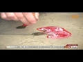 Elif Aydın Ebru sanatı 3.bölüm 2. kısım klip izle