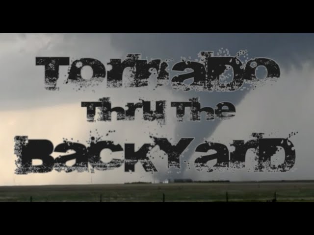 All Videos