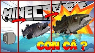 CÁCH NUÔI CON CÁ TRONG MINECRAFT NHƯ ĐỜI THẬT CỦA MỀU*CÁCH THỊT CON CÁ TRONG MINECRAFT NHƯ THẬT