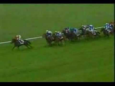 Ranker Video