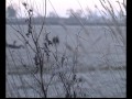 oche al campo
