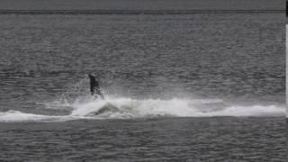 Humpback Breach!!