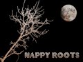 Nappy Roots - No Static