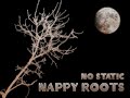 Nappy Roots - No Static