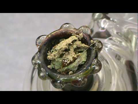 STONER SUNDAYS : CHURCH on CHURCH : The WEED Report Un-Cut