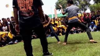 SURAN AGUNG SH WINONGO 16 Oktober 2016 Sambung Temu Dulur STK