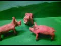 CORNBUGS-PIGS ARE PEOPLE TOO