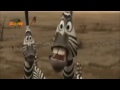 Tezabi Totay : Sher ty Zebra