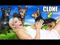 Making our Dogs Jealous with their Clones for 24 Hours!  PawZ...