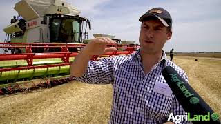 AgriLand:与新一代Claas Lexion亲密接触