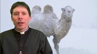 Global Warming?!?!?!?! - Fr. Mark Goring, CC