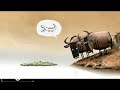 V&L Hà Nội: Clip hài hước nhất mọi thời đại không xem thì phí !