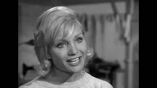 The Fugitive Season 1 Episode 5 Never Wave Goodbye Part 2