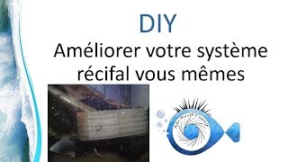 Le Do It Yourself : plus qu'un loisir, un combo génial avec le récifal - Mr Recif Captif #273