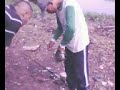 Ikan Nila Hasil Mancing Dengan Cuttonbat Di Danau Cipondoh images Ikan Nila Hasil Mancing Dengan Cuttonbat Di Danau Cipondoh