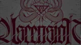 Watch Ascension Grey Light Sibling video