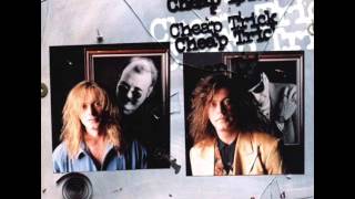 Watch Cheap Trick You Drive Ill Steer video