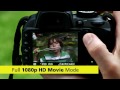 Nikon D3100 Camera Digital SLR | D3100 Review | Best Entry