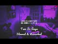 Tum Jo Aye  | Slowed &REVERB | SONG With Lyrics