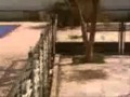 parkour tlemcen ouled mimoun 2013